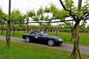 Le Jaguar nella zona del Prosecco e Cartize (77/152)